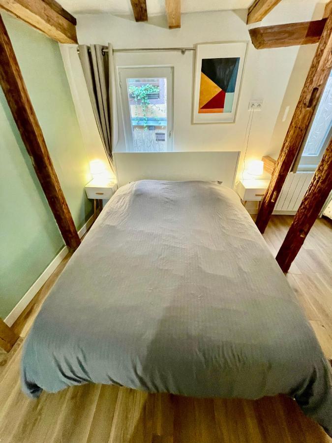 Strasbourg Magnifique Appartement Centre Ville Petite France Ngoại thất bức ảnh